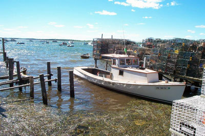 Sustainable fisheries